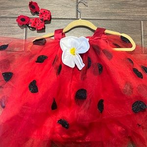 Custom little girl, ladybug, Halloween costume size 12 to 24 months